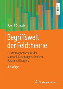 Begriffswelt der Feldtheorie (eBook, PDF) - Schwab, Adolf J.