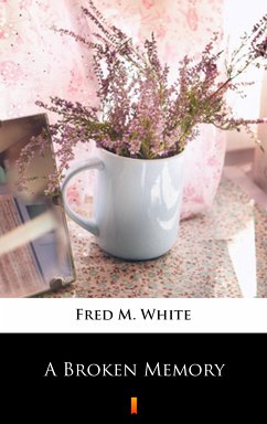 A Broken Memory (eBook, ePUB) - White, Fred M.