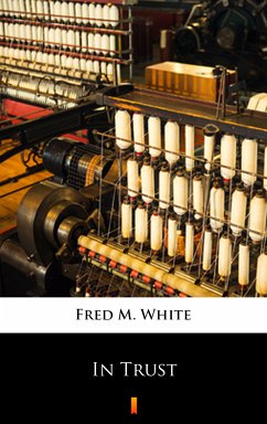 In Trust (eBook, ePUB) - White, Fred M.