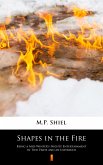 Shapes in the Fire (eBook, ePUB)