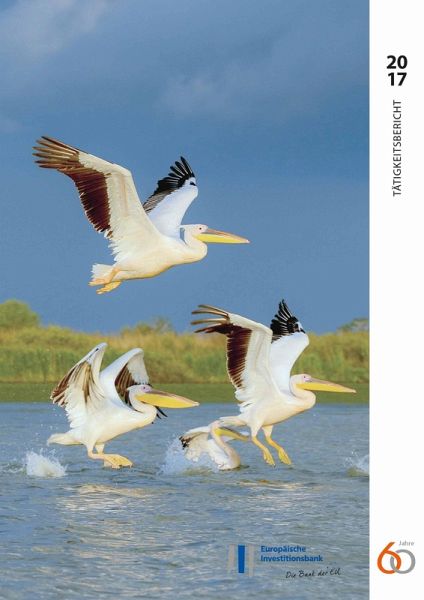 Tätigkeitsbericht 2017 der Europäischen Investitionsbank (eBook, ePUB)