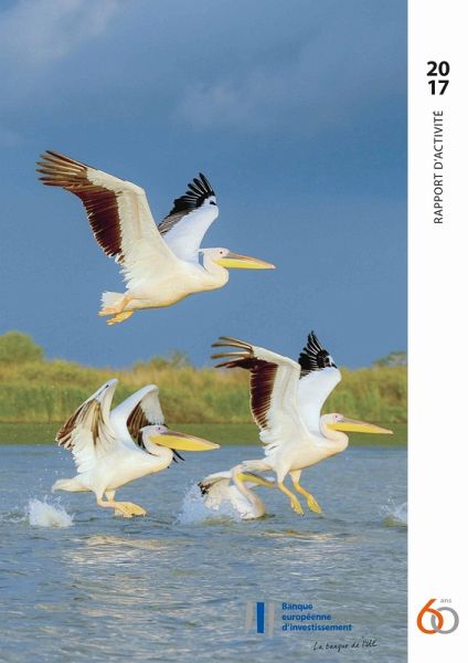 Rapport d'activité 2017 de la Banque européenne d'investissement (eBook, ePUB)