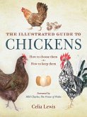 The Illustrated Guide to Chickens (eBook, ePUB)