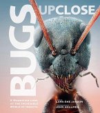 Bugs Up Close (eBook, ePUB)