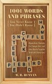 1,001 Words and Phrases You Never Knew You Didn't Know (eBook, ePUB)