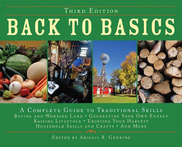 Back to Basics (eBook, ePUB) Back to Basics (eBook, ePUB)