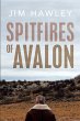 Spitfires of Avalon (eBook, ePUB) - Bild 1