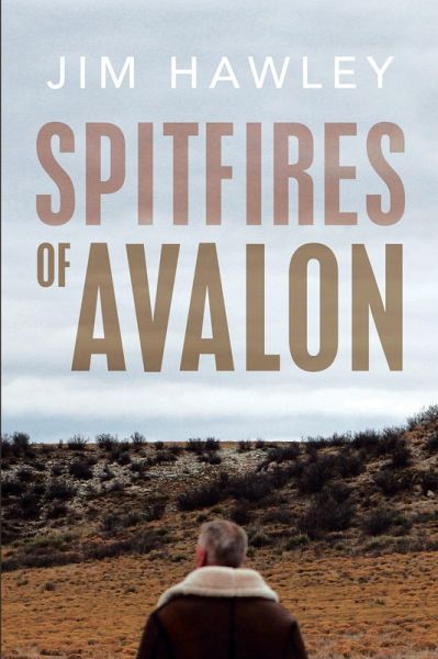 Spitfires of Avalon (eBook, ePUB)