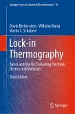 Lock-in Thermography (eBook, PDF)