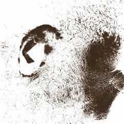 Cover Peiden
