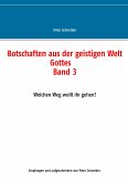 Botschaften aus der geistigen Welt Gottes (eBook, ePUB)