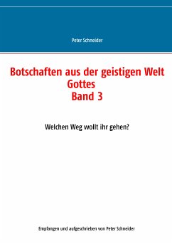 Botschaften aus der geistigen Welt Gottes (eBook, ePUB) - Schneider, Peter