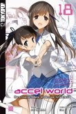 Accel World / Accel World - Novel Bd.18