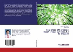 Responses of European beech (Fagus sylvatica, L.) to drought