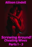 Screwing Around Cheating Wives Parts 1-3 (eBook, ePUB)