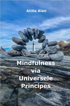 Cover Mindfulness via Universele Principes (eBook, ePUB)