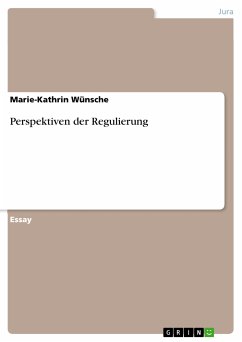 Perspektiven der Regulierung (eBook, PDF)