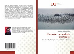 L'invasion des sachets plastiques - Boubacar Barazé, Abdoulaziz