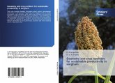 Geometry and crop nutrition: for sustainable productivity in sorghum