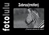 Zebras(treifen) - Bild 1