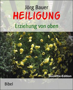 Heiligung (eBook, ePUB) - Bauer, Jörg