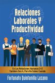 Relaciones Laborales Y Productividad (eBook, ePUB)