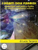 I segreti delle piramidi (eBook, ePUB)