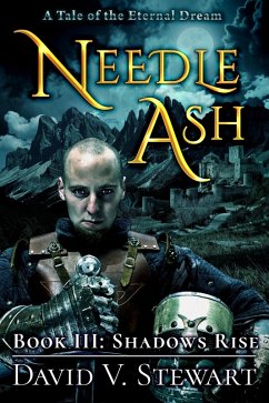 Needle Ash Book 3: Shadows Rise (eBook, ePUB) - Stewart, David V.