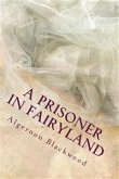 A prisoner In Fairy Land (eBook, ePUB)