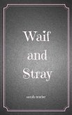 Waif and Stray (eBook, ePUB)