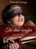 The slave burglar (eBook, ePUB)