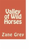 Valley of Wild Horses (eBook, ePUB)