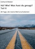 Hä? Wie? Was hast du gesagt? Teil II (eBook, ePUB)