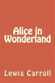 Alice In The Wonderland (eBook, ePUB)