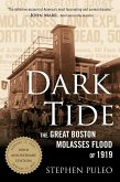 Dark Tide (eBook, ePUB)