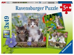 Ravensburger 08046 - Süße Samtpfötchen, Katzen, Katzenkinder, Kitten, Puzzle, Kinderpuzzle, 3x49 Teile