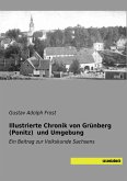 Illustrierte Chronik von Grünberg (Ponitz) und Umgebung