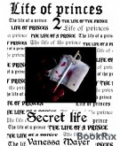 Life of Princes 2 (eBook, ePUB)