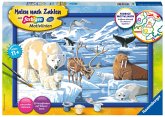 Ravensburger 28909 - Malen nach Zahlen, Tiere der Arktis, Eisbär, Robbe, Wal, Seelöwe, Rentier