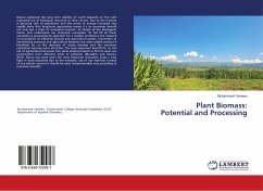Plant Biomass: Potential and Processing
