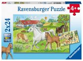 Ravensburger 07833 - Auf dem Pferdehof, Puzzle, Kinderpuzzle, 2x24 Teile