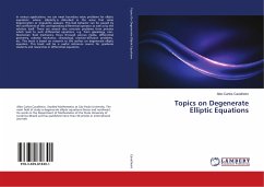 Topics on Degenerate Elliptic Equations - Cavalheiro, Albo Carlos