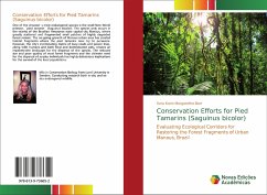 Conservation Efforts for Pied Tamarins (Saguinus bicolor)