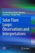 Solar Flare Loops: Observations and... - Bild 1