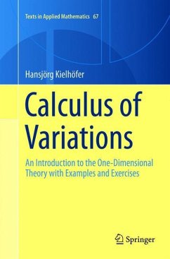 Calculus of Variations - Kielhöfer, Hansjörg
