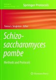 Schizosaccharomyces pombe