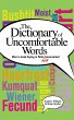 A Dictionary of Uncomfortable Words - Bild 1