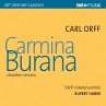 Carmina Burana - Bild 1