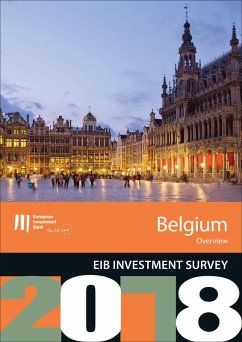 Cover EIB Investment Survey 2018 - Belgium overview (eBook, ePUB)