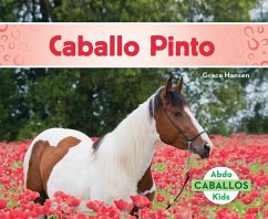 Caballo Pinto (American Paint Horses) - Hansen, Grace